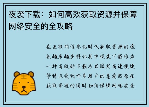 夜袭下载：如何高效获取资源并保障网络安全的全攻略